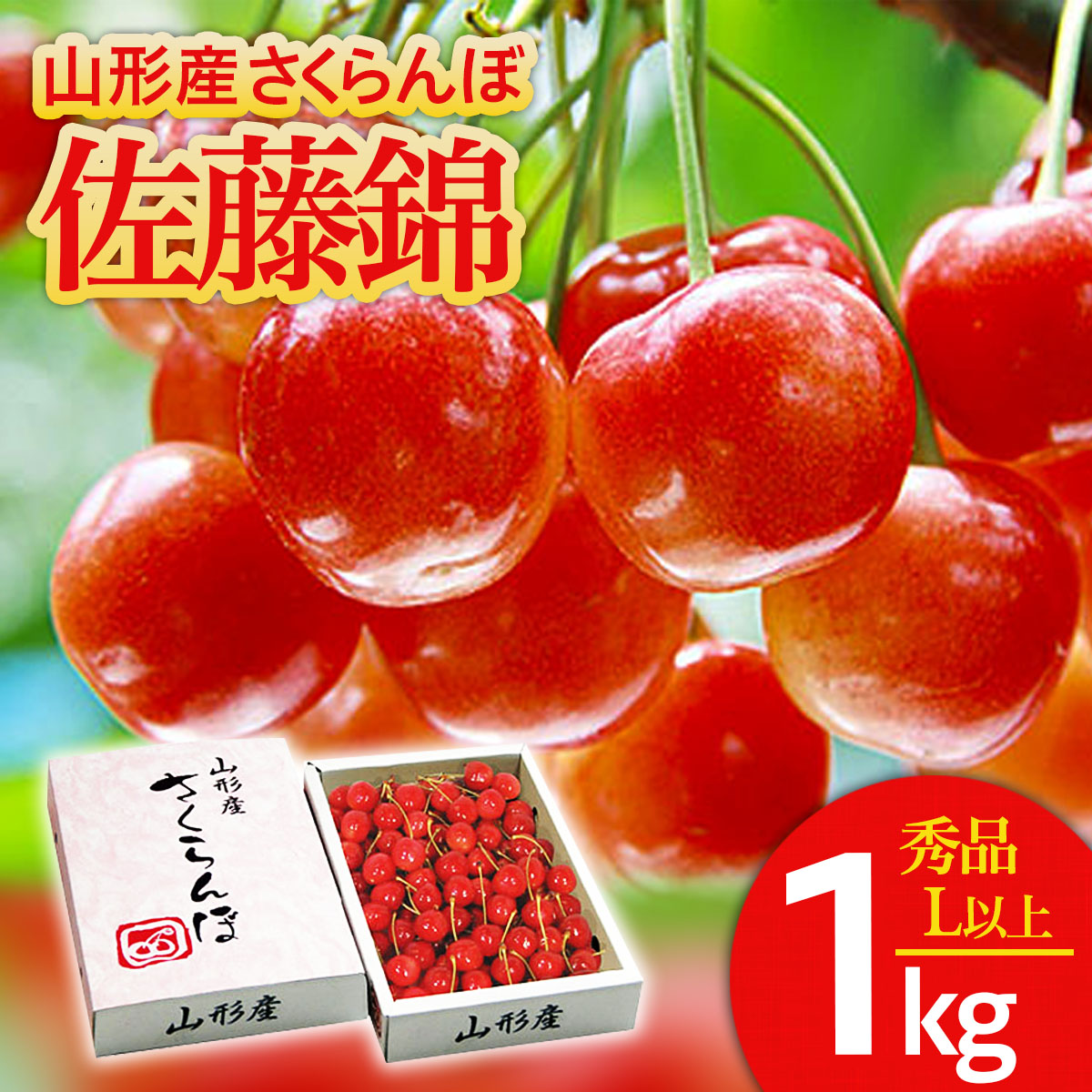 【ふるさと納税】さくらんぼ 佐藤錦 Lサイズ以上 1kg 1箱 【令和8年産先行予約】FS25-563 くだもの 果物 フルーツ 山形 山形県 山形市 お取り寄せ 2026年産