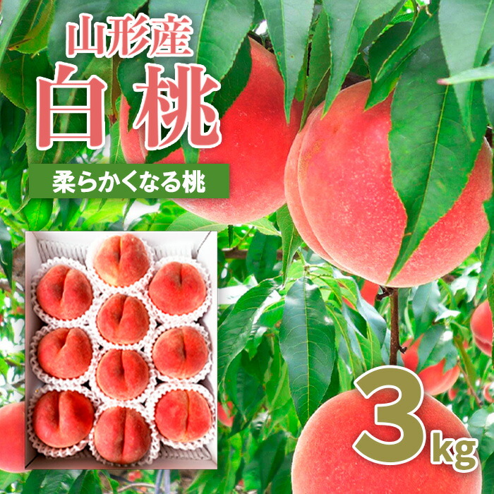 【ふるさと納税】山形市産 桃 秀3kg(5～13玉)[柔らかくなる桃] 【令和7年産先行予約】FU20-062くだもの 果物 フルーツ 山形 山形県 山形市 お取り寄せ 2025年産