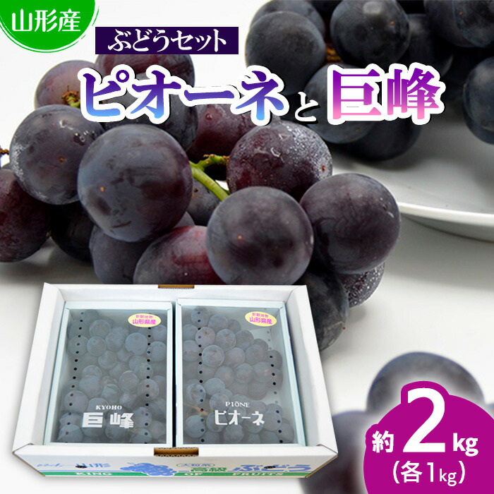 【ふるさと納税】山形のぶどうセット 秀品 約2kg(ピオーネ1kg2房前後・巨峰1kg2房前後)[8月中旬～9月中旬お届け] 【令和7年産先行予約】FS24-571 くだもの 果物 フルーツ 山形 山形県 山形市 お取り寄せ 2025年産