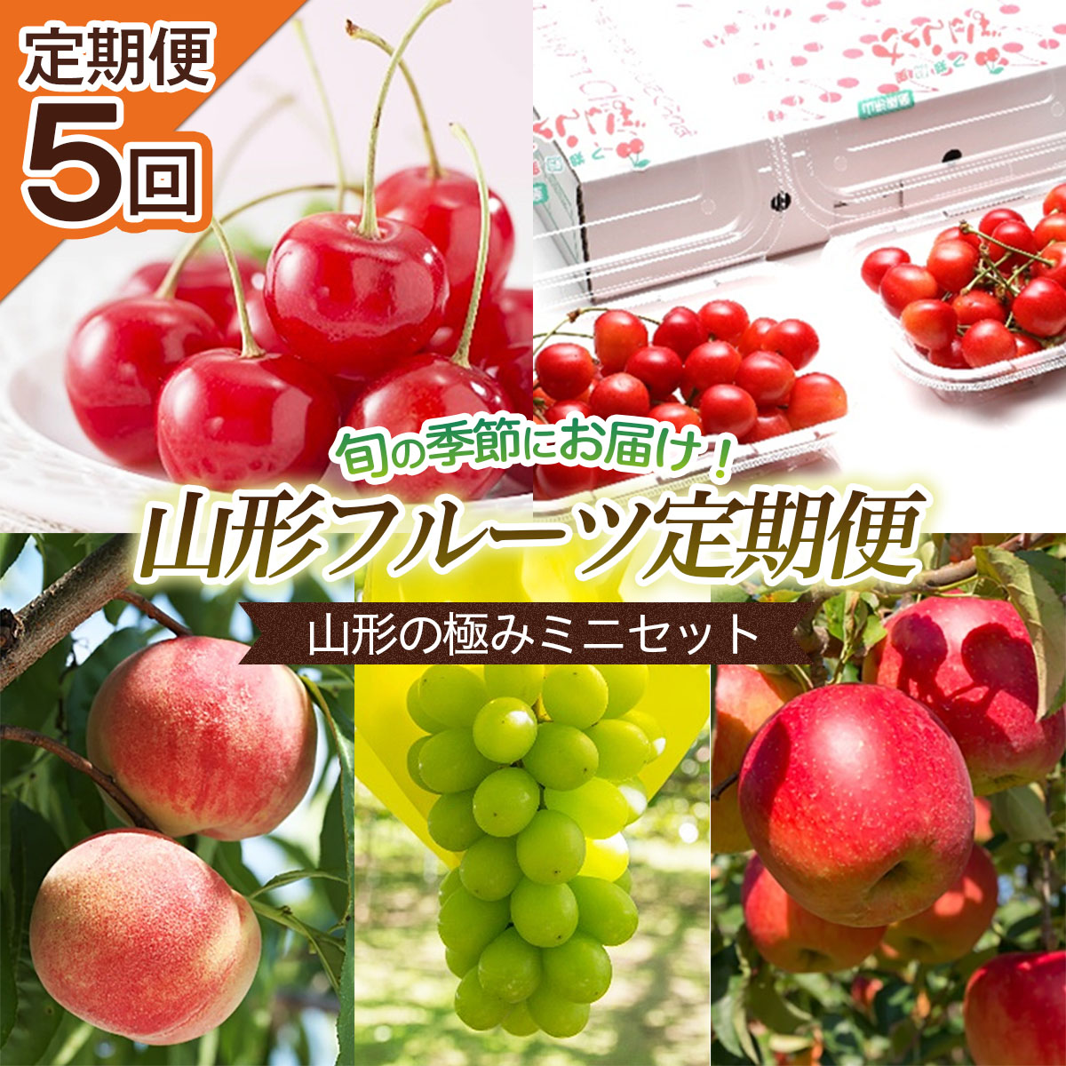 楽天市場 ふるさと納税 Fs21 018 令和4年産先行予約 定期便5回 山形の極みミニセット 山形県山形市