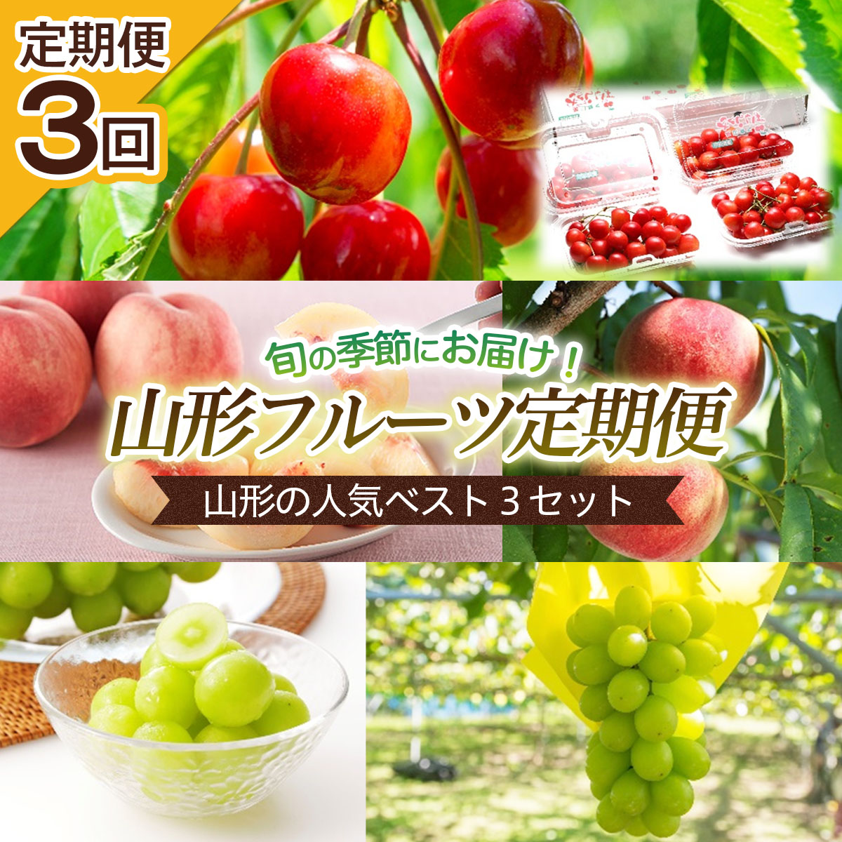 楽天市場 ふるさと納税 Fs21 020 令和4年産先行予約 定期便3回 山形の人気ベスト3セット 山形県山形市