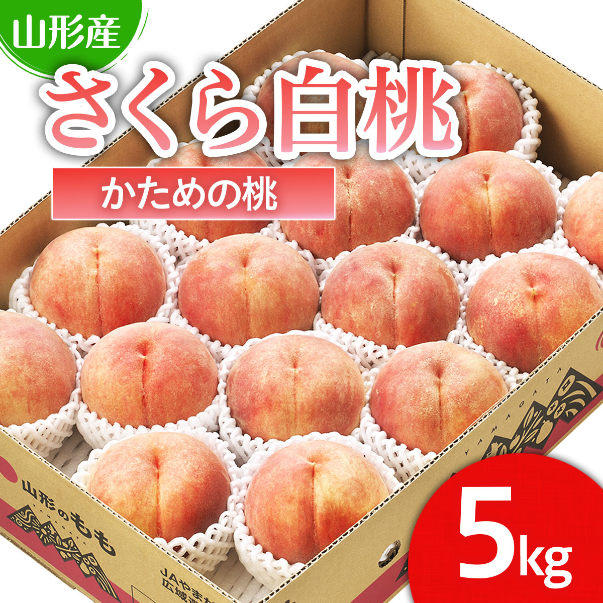 【ふるさと納税】山形市産 桃「さくら白桃」 秀以上 5kg(12玉～16玉)[かための桃] 【令和7年産先行予約】FS24-620 くだもの 果物 フルーツ 山形 山形県 山形市 お取り寄せ 2025年産