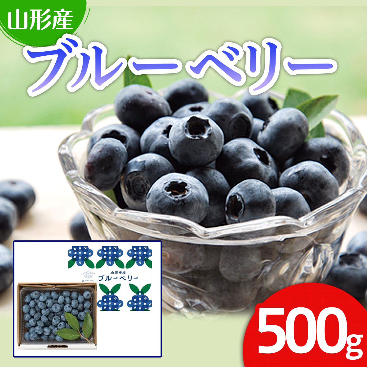 【ふるさと納税】山形市産 ブルーベリー 500g 【令和7年産先行予約】 FU21-606 くだもの 果物 フルーツ 山形 山形県 山形市 2025年産