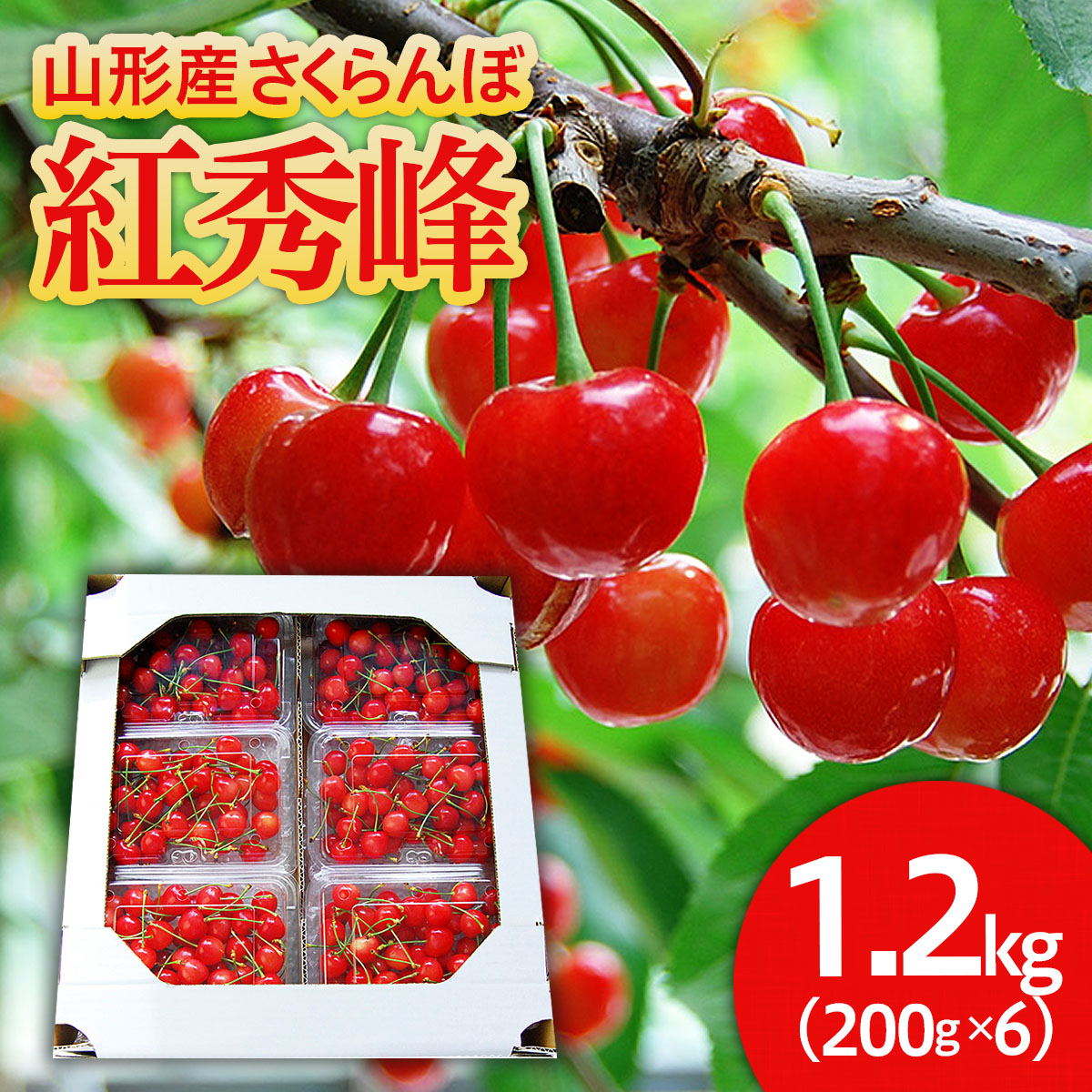 【ふるさと納税】山形のさくらんぼ 紅秀峰 1.2kg(200g×6パック) Lサイズ以上 【令和7年産先行予約】FS24-555 くだもの 果物 フルーツ 山形 山形県 山形市 お取り寄せ 2025年産