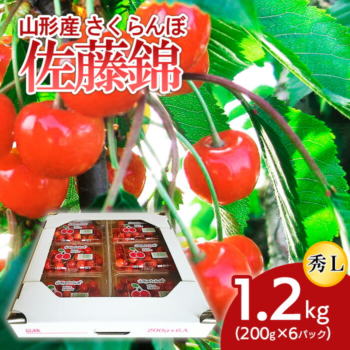 【ふるさと納税】山形産 さくらんぼ 佐藤錦 L 1.2kg(200g×6パック) 【令和7年産先行予約】FS24-505 くだもの 果物 フルーツ 山形 山形県 山形市 お取り寄せ 2025年産