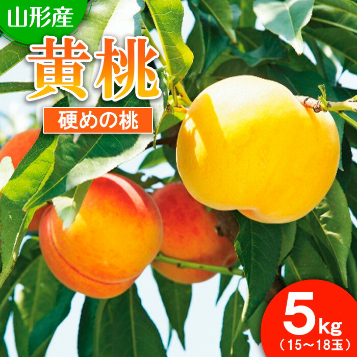 【ふるさと納税】山形市産 もも(黄桃)5kg(15～18玉)[硬めの桃] 【令和7年産先行予約】FU21-820 くだもの 果物 フルーツ 山形 山形県 山形市 2025年産