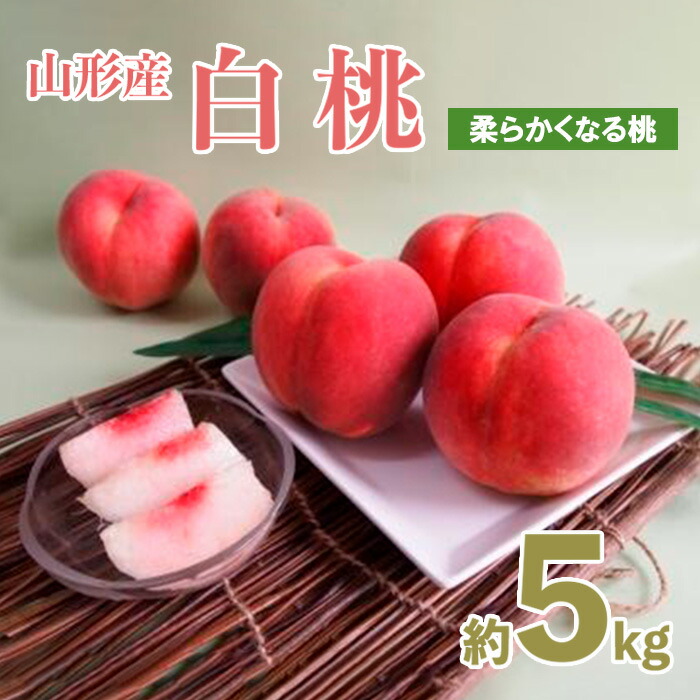 【ふるさと納税】山形産白桃 小玉サイズ 約5kg(18～22玉)[柔らかくなる桃] 【令和7年産先行予約】FU21-159くだもの 果物 フルーツ 山形 山形県 山形市 お取り寄せ 2025年産