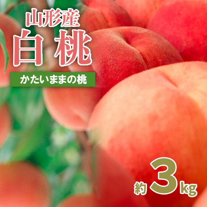 【ふるさと納税】山形の産直所で人気！硬くてカリカリの桃 3kg(5～12玉) 【令和7年産先行予約】FU21-831 くだもの 果物 フルーツ 山形 山形県 山形市 2025年産
