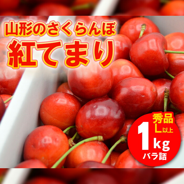 【ふるさと納税】山形のさくらんぼ 紅てまり 1kg Lサイズ以上 バラ詰 【令和8年産先行予約】FS25-526 くだもの 果物 フルーツ 山形 山形県 山形市 お取り寄せ 2026年産 13,500円
