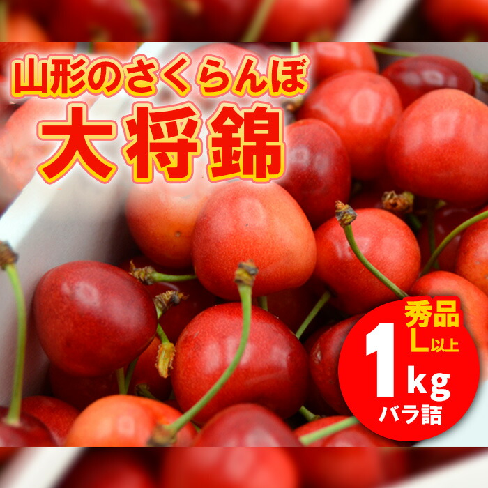 【ふるさと納税】山形のさくらんぼ 大将錦 1kg Lサイズ以上 バラ詰 【令和7年産先行予約】FS24-561 くだもの 果物 フルーツ 山形 山形県 山形市 お取り寄せ 2025年産