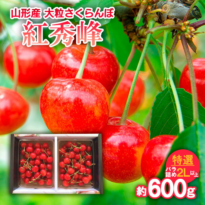 【ふるさと納税】山形産 大粒さくらんぼ 紅秀峰 特選 バラ詰め 2L以上 約600g 【令和7年産先行予約】FS24-638 くだもの 果物 フルーツ 山形 山形県 山形市 お取り寄せ 2025年産