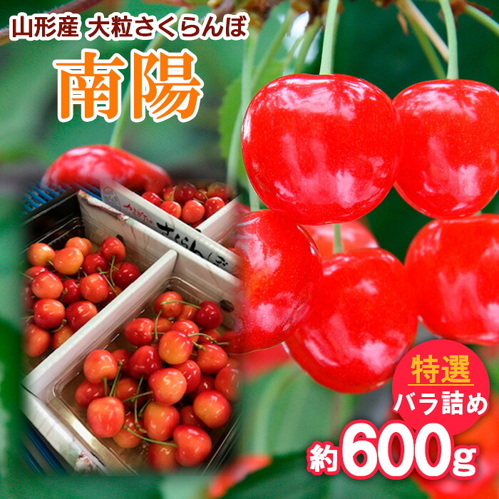 【ふるさと納税】山形産 大粒さくらんぼ 南陽 特選 バラ詰め 約600g 【令和8年産先行予約】FS25-712 くだもの 果物 フルーツ 山形 山形県 山形市 お取り寄せ 2026年産