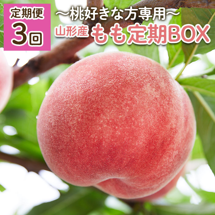 【ふるさと納税】【定期便3回】～桃好きな方専用～もも定期BOX～ 【令和7年産先行予約】FU22-019くだもの 果物 フルーツ 山形 山形県 山形市 お取り寄せ 2025年産