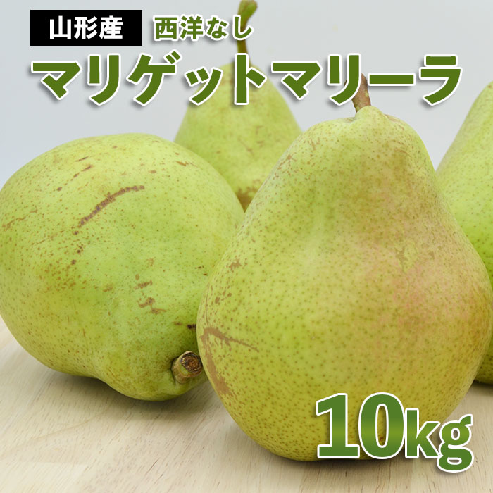 【ふるさと納税】山形市産 西洋なし(マリゲットマリーラ) 秀 10kg(5kg×2) 14玉～30玉 【令和7年産先行予約】FS24-585 くだもの 果物 フルーツ 山形 山形県 山形市 お取り寄せ 2025年産