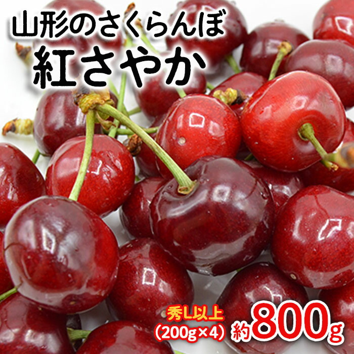 【ふるさと納税】山形のさくらんぼ 紅さやか 約800g Lサイズ以上(200g×4) 【令和7年産先行予約】FS24-656 くだもの 果物 フルーツ 山形 山形県 山形市 お取り寄せ 2025年産