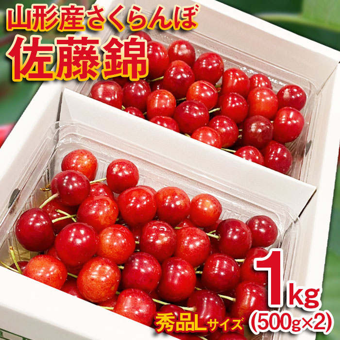 【ふるさと納税】さくらんぼ 佐藤錦 Lサイズ 1kg(500g×2パック） 【令和8年産先行予約】FS25-571 くだもの 果物 フルーツ 山形 山形県 山形市 お取り寄せ 2026年産