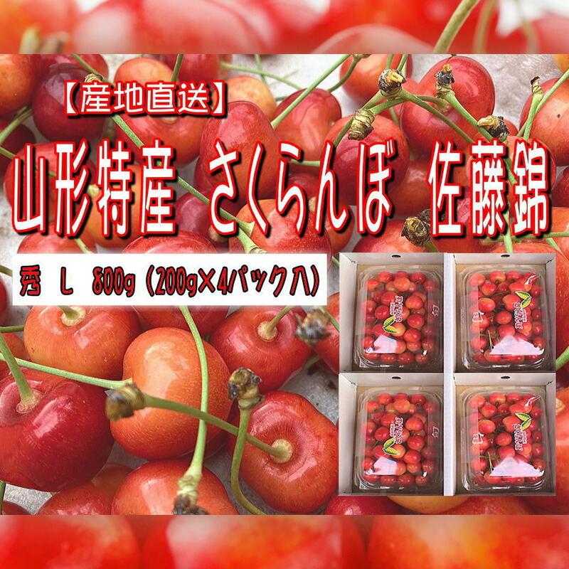 【ふるさと納税】山形特産 さくらんぼ 佐藤錦 L 800g(200g×4パック入)【令和8年産先行予約】FU22-972くだもの 果物 フルーツ 山形 山形県 山形市 お取り寄せ 先行予約 2026年産