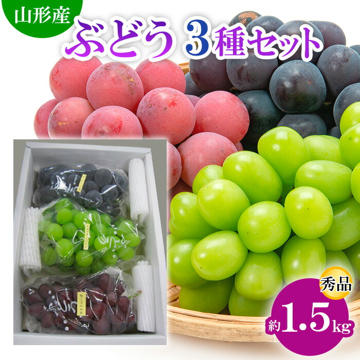 【ふるさと納税】山形市産ぶどう 3種セット 秀 約1.5kg (9月発送) 【令和7年産先行予約】FS24-663 くだもの 果物 フルーツ 山形 山形県 山形市 お取り寄せ 2025年産