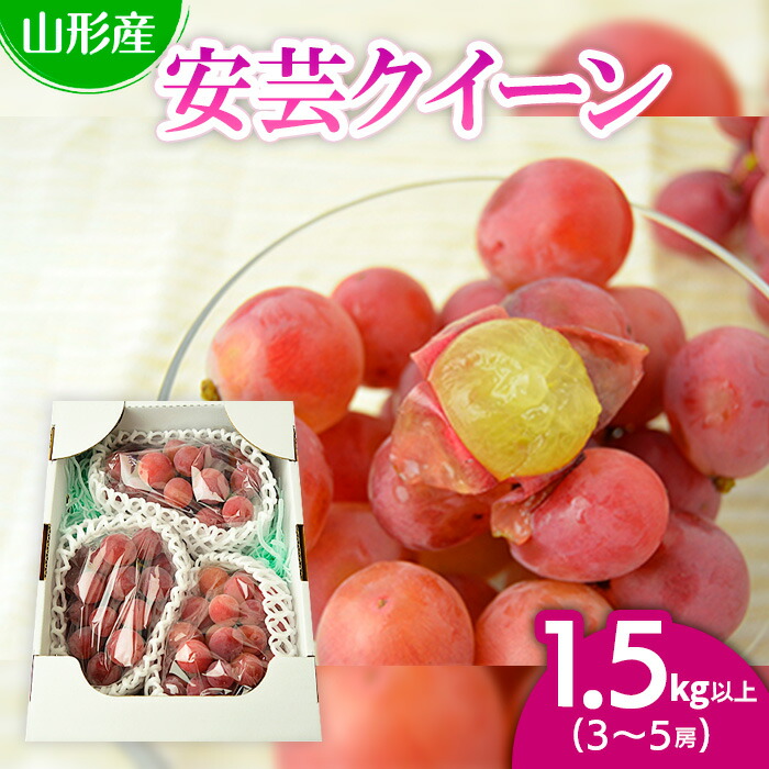 【ふるさと納税】山形市本沢ぶどう安芸クイーン 1.5kg以上(3～5房) 【令和7年産先行予約】FU22-789 フルーツ くだもの 果物 お取り寄せ 先行予約