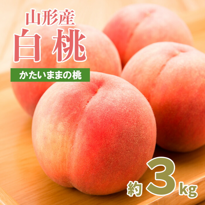 【ふるさと納税】パリっとおどろき食感！山形産もも 3kg(7～11玉) [硬いままの桃] 【令和7年産先行予約】FU22-787くだもの 果物 フルーツ 山形 山形県 山形市 お取り寄せ 2025年産
