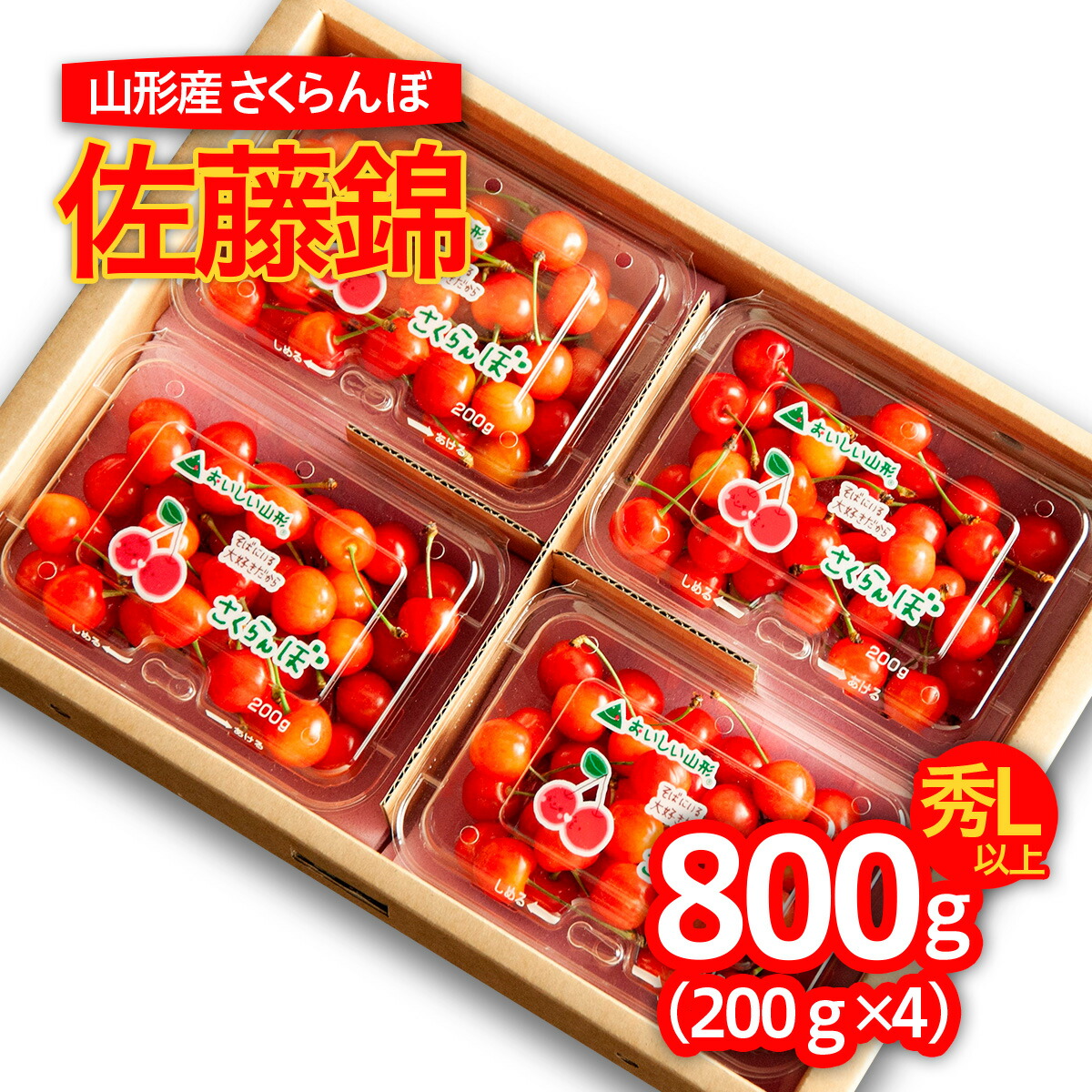 【ふるさと納税】山形のさくらんぼ 佐藤錦 800g Lサイズ以上(200g×4パック) 【令和7年産先行予約】FS24-551 くだもの 果物 フルーツ 山形 山形県 山形市 お取り寄せ 2025年産