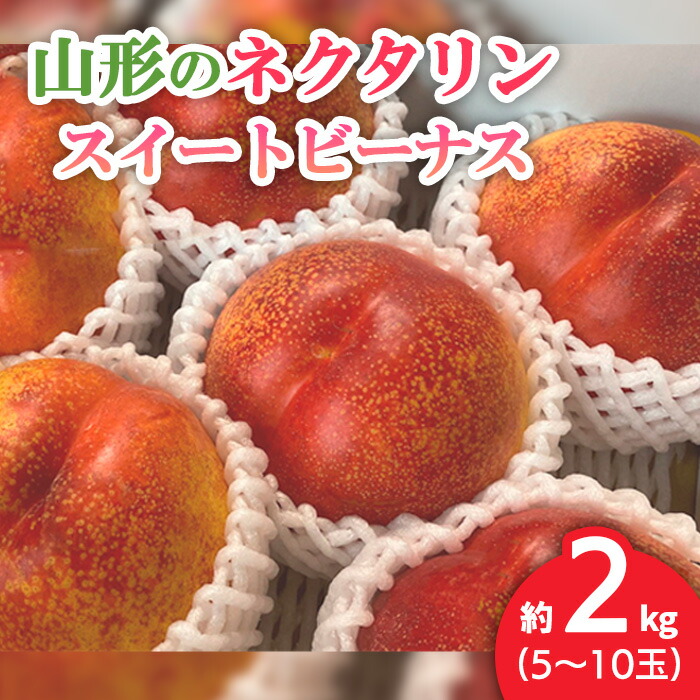 【ふるさと納税】山形のネクタリン(スイートビーナス)約2kg(5～10玉) 【令和7年産先行予約】FS24-568 くだもの 果物 フルーツ 山形 山形県 山形市 お取り寄せ 2025年産