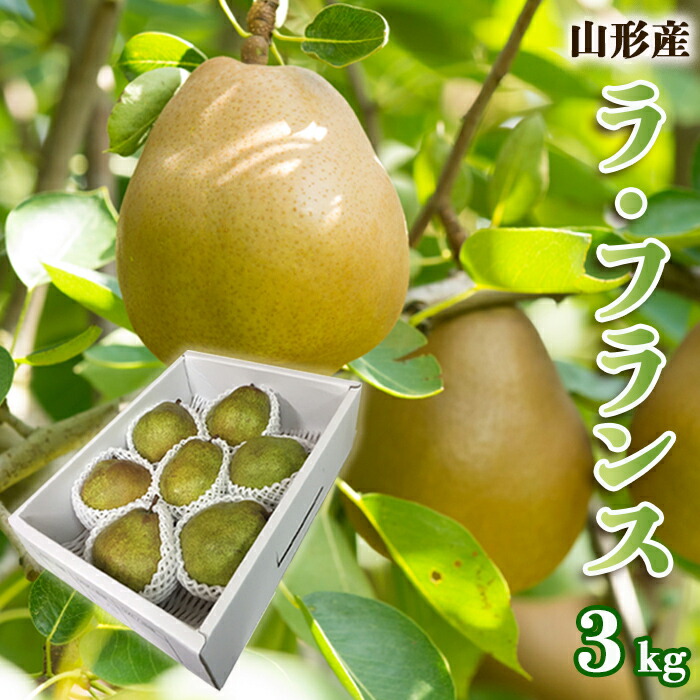【ふるさと納税】山形のラ・フランス 秀 約3kg(6～9玉・3L～6L)  FZ22-964