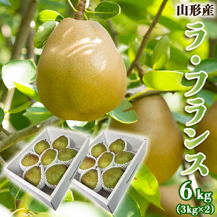 【ふるさと納税】山形のラ・フランス 秀 約6kg(12～18玉・3L～6L)  FZ22-365