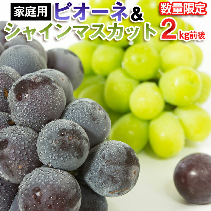【ふるさと納税】【家庭用】[数量限定]ピオーネ＆シャインマスカット 2kg前後 【令和8年産先行予約】FU22-374 くだもの 果物 フルーツ 山形 山形県 山形市 2026年産