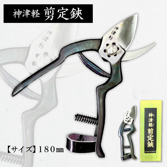 一般受け受け付け中♪円錐小体初夏の味「さくらんぼ」