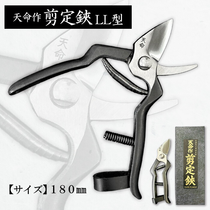 一般受け受け付け中♪円錐小体初夏の味「さくらんぼ」