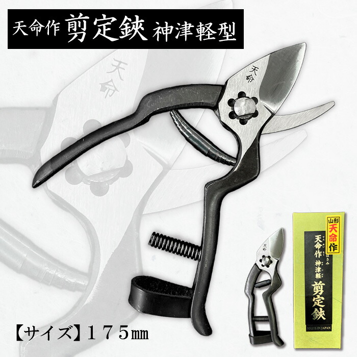 一般受け受け付け中♪円錐小体初夏の味「さくらんぼ」