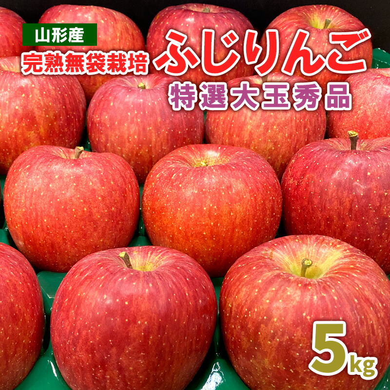 【ふるさと納税】完熟無袋栽培ふじりんご 特選大玉秀品5kg入り リンゴ 林檎 フルーツ 果物 お取り寄せ 送料無料 FY25-900