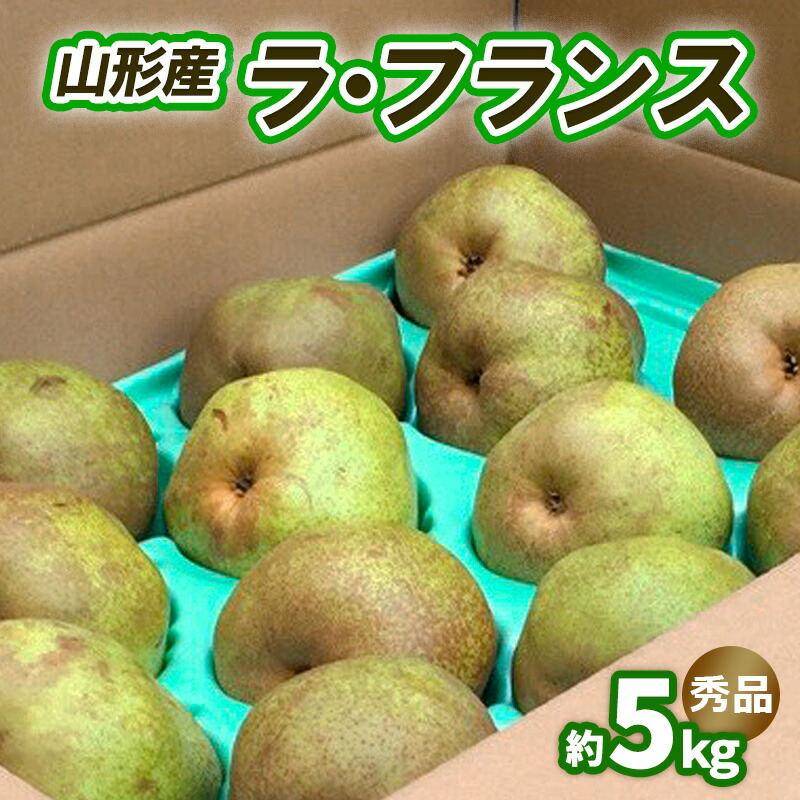 【ふるさと納税】ラ・フランス 約5kg 秀品 (10～16玉) 3L～6L [11月発送] ラフランス 洋梨 フルーツ 果物 お取り寄せ 送料無料 洋なし FY25-831