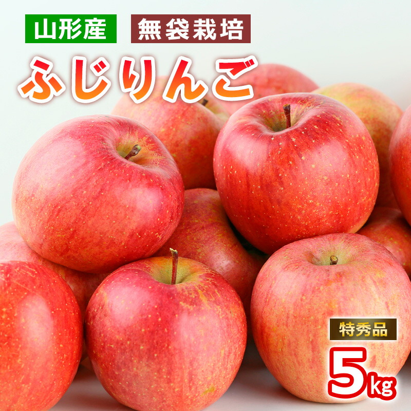 【ふるさと納税】山形産 無袋栽培 ふじりんご 特秀 5kg (13～20玉) FY25-816