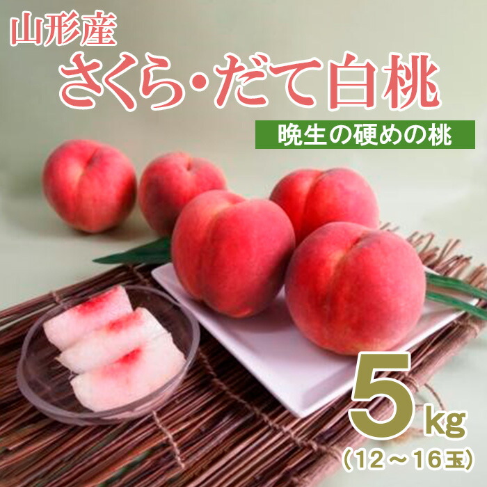 【ふるさと納税】山形産晩生のかための桃5kg(さくら、だて白桃) 【令和7年産先行予約】FS24-503 くだもの 果物 フルーツ 山形 山形県 山形市 お取り寄せ 2025年産