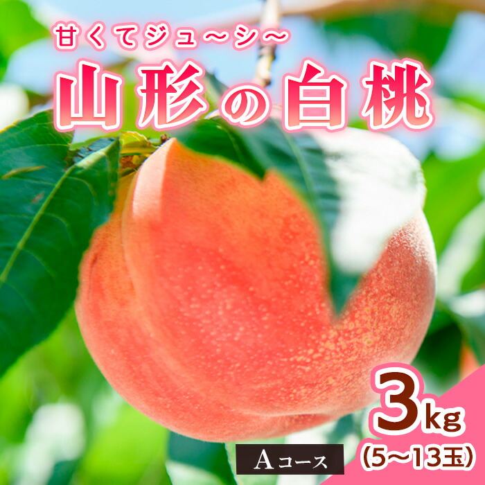 【ふるさと納税】山形の白桃3kg(5～13玉)Aコース[柔らかくなる品種] 【令和7年産先行予約】FS24-563 くだもの 果物 フルーツ 山形 山形県 山形市 お取り寄せ 2025年産
