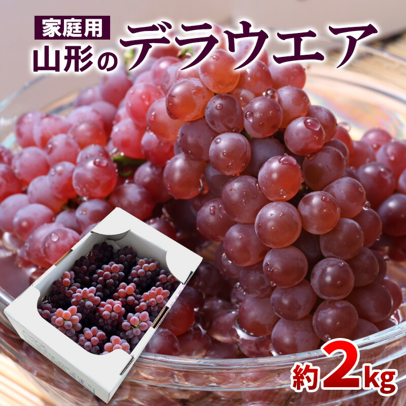 【ふるさと納税】【ご家庭用】山形のデラウエア M～3L 約2kg(9～20房) [粒サイズおまかせ]【令和7年産先行予約】 FS24-137くだもの 果物 フルーツ 山形 山形県 山形市 お取り寄せ 2025年産