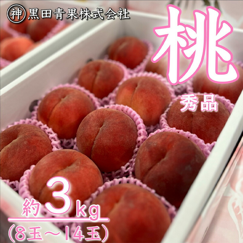 【ふるさと納税】山形産 白桃 秀 3kg(8玉～14玉) 【令和7年産先行予約】FU23-315くだもの 果物 フルーツ 山形 山形県 山形市 お取り寄せ 2025年産