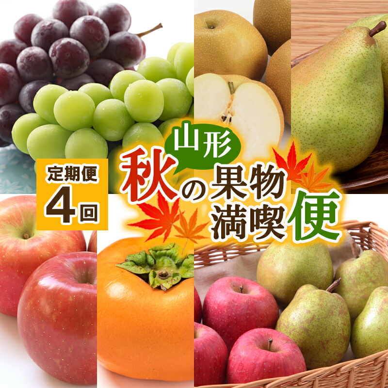 【ふるさと納税】【定期便4回】山形秋の果物 満喫便【令和7年産先行予約】FS24-614 くだもの 果物 フルーツ 山形 山形県 山形市 お取り寄せ 2025年産