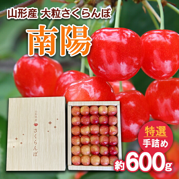 【ふるさと納税】山形産 大粒さくらんぼ 南陽 特選 手詰め 約600g 【令和7年産先行予約】FS24-635 くだもの 果物 フルーツ 山形 山形県 山形市 お取り寄せ 2025年産