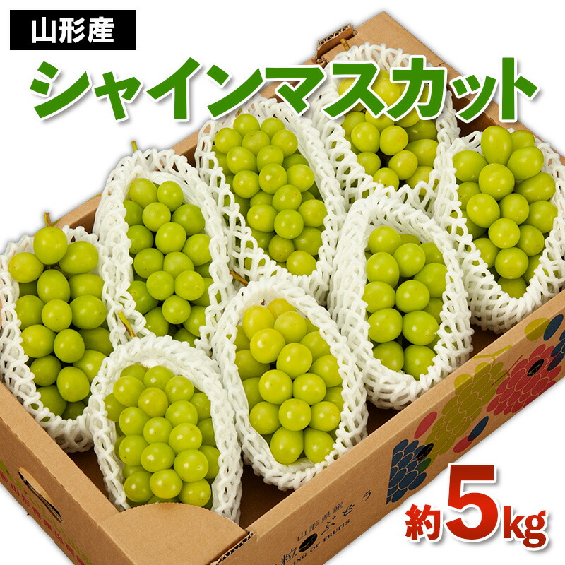 【ふるさと納税】山形産 シャインマスカット 秀 約5kg 【令和7年産先行予約】FS24-748