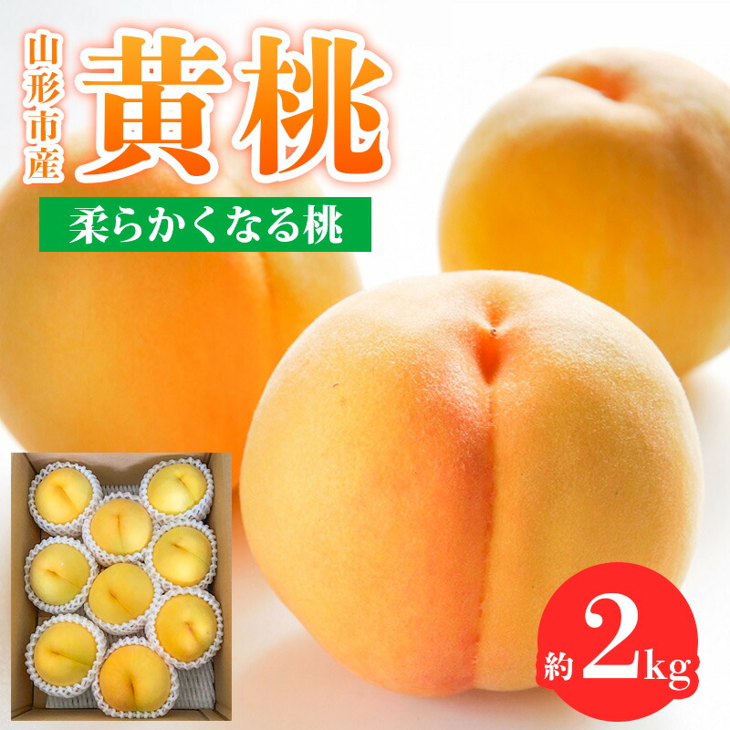 楽天市場】【ふるさと納税】山形産 硬めの黄桃 約2kg(4〜9玉 楽天市場】【ふるさと納税】山形産 硬めの黄桃 約2kg(4〜9玉