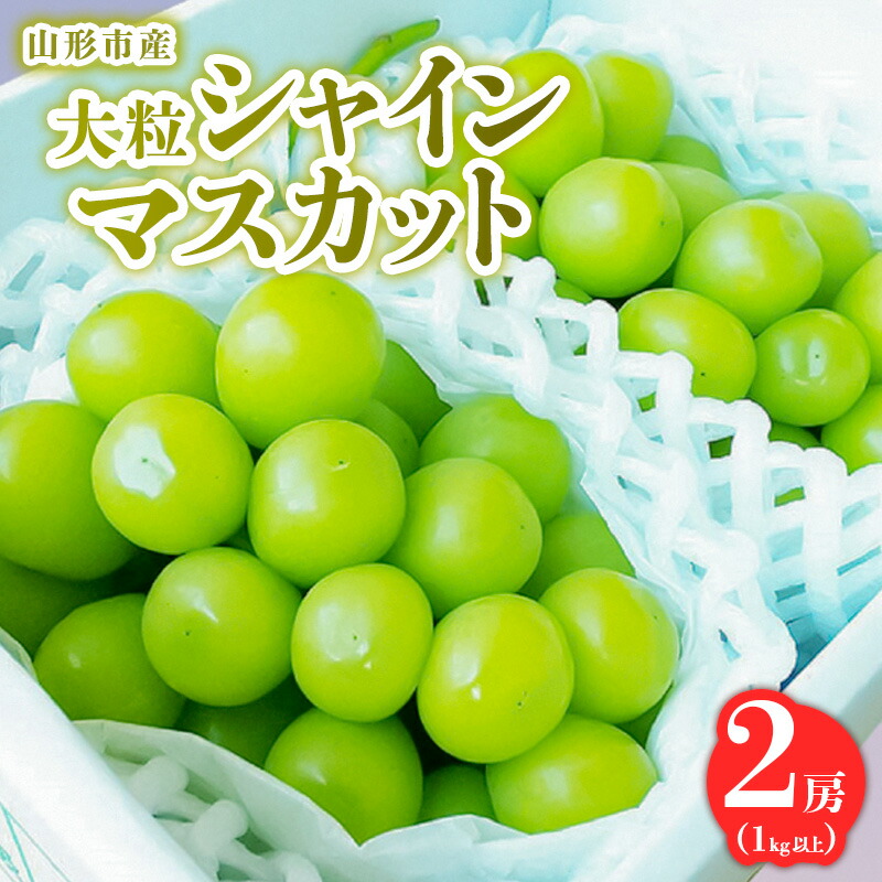 【ふるさと納税】山形市産 大粒シャインマスカット 1kg以上 2房【令和8年産先行予約】FS24-763くだもの 果物 フルーツ 山形 山形県 山形市 お取り寄せ 先行予約 2026年産 13,500円