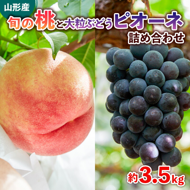 【ふるさと納税】旬の桃と大粒ぶどうピオーネ 詰め合わせ 約3.5kg 【令和7年産先行予約】FS24-764