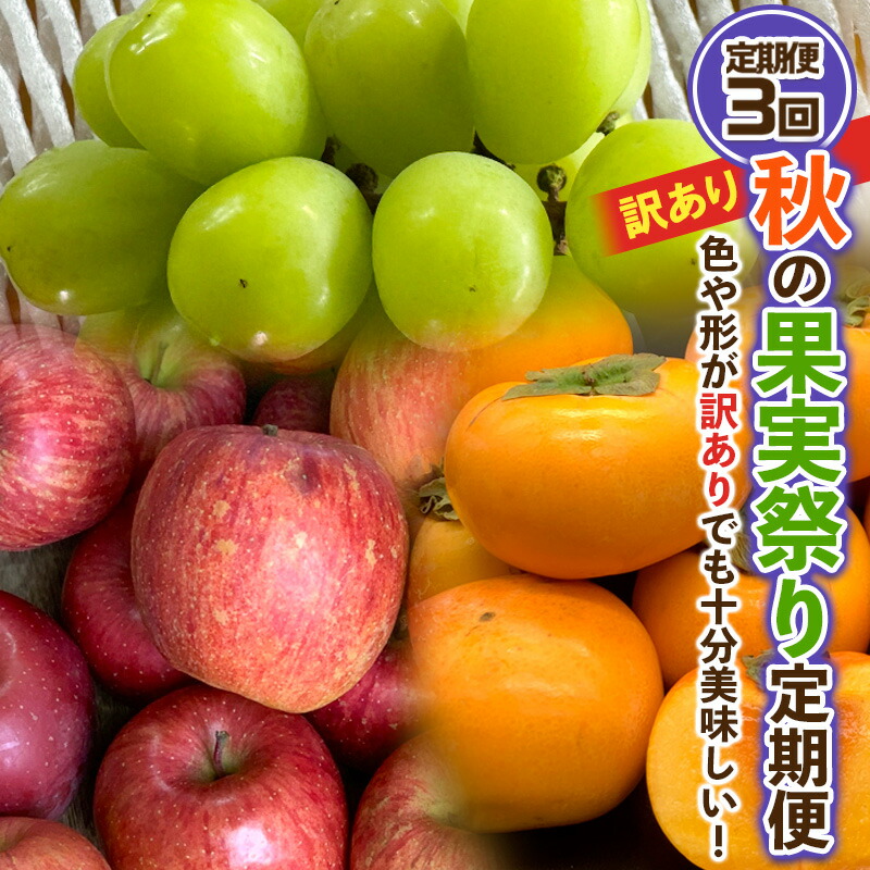 【ふるさと納税】【定期便3回】★訳あり★秋の果実祭り定期便 色や形が訳ありでも十分美味しい！シャインマスカット・柿・りんご 【令和7年産先行予約】FS24-814