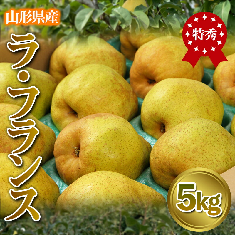 【ふるさと納税】★食べ頃出荷★山形県産 「ラ・フランス」 特秀品 5kg (12～20玉) 洋梨 ラフランス 山形 【令和7年産先行予約】FS24-819