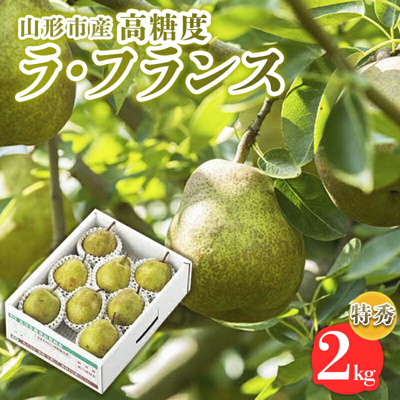 【ふるさと納税】山形市産【高糖度ラフランス】特秀品 2kg (5～8玉) 極上フルーツ  洋梨 山形 【令和7年産先行予約】FS24-820