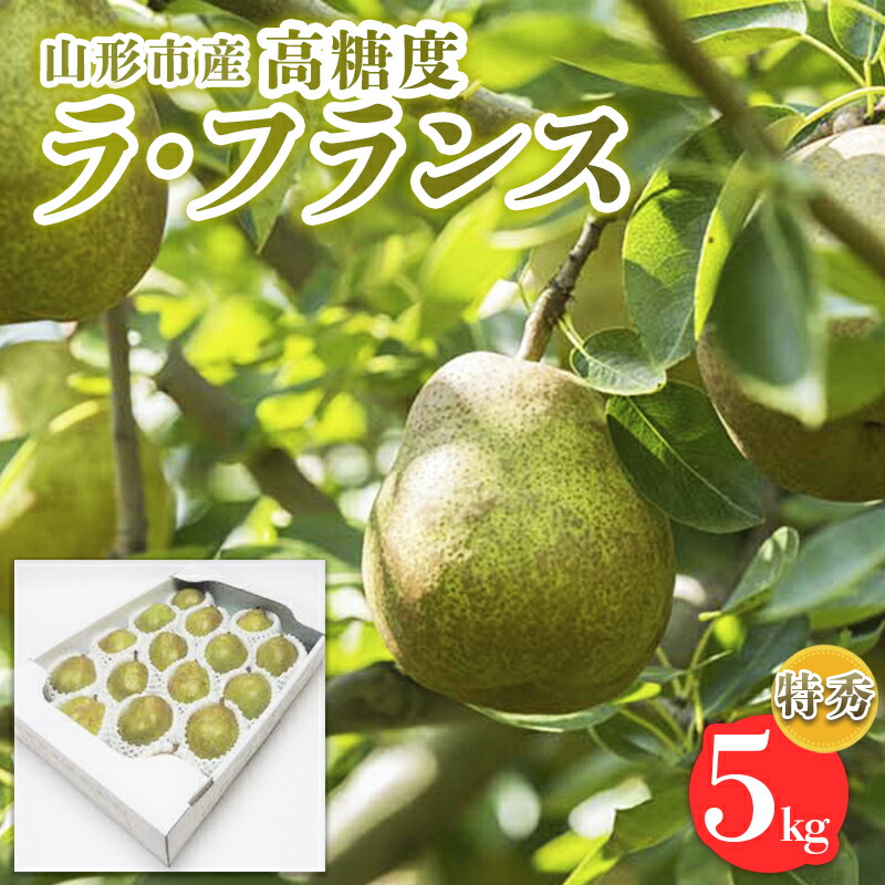 【ふるさと納税】山形市産【高糖度ラフランス】特秀品 5kg (10～18玉)  極上フルーツ  洋梨 山形 【令和7年産先行予約】FS24-822