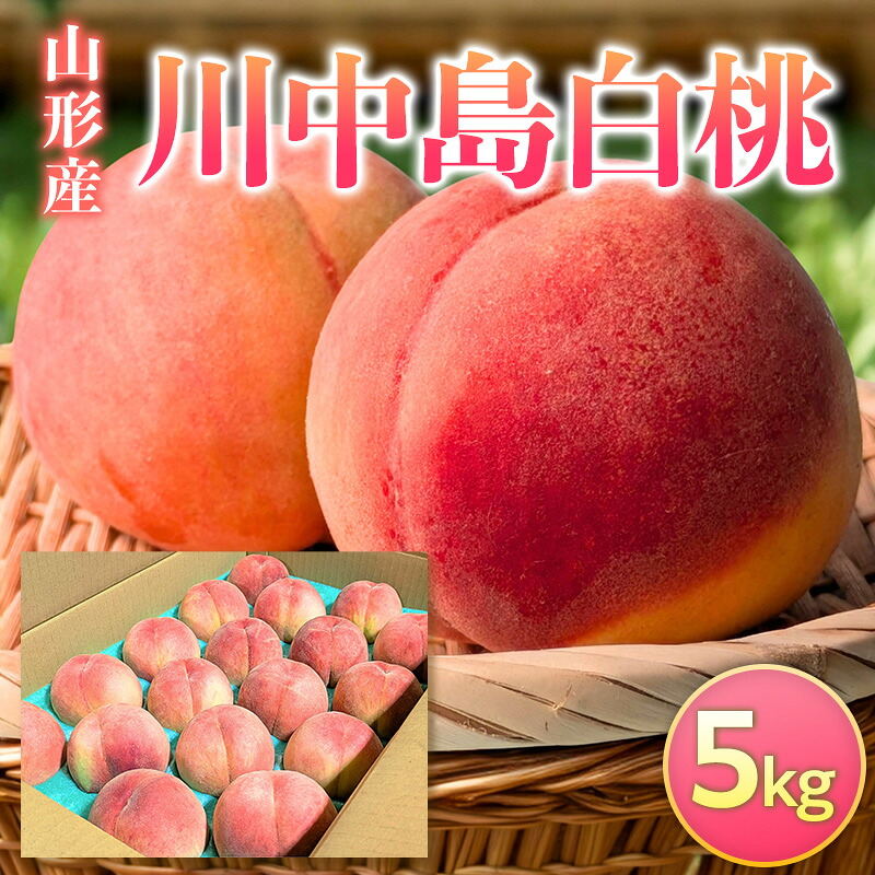 【ふるさと納税】山形産 川中島白桃 5kg FY26-231|山形県山形市